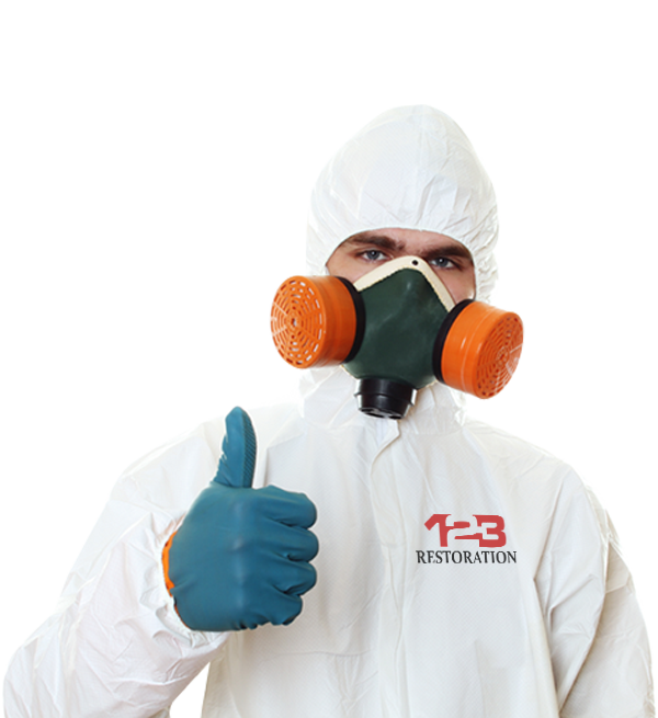 Mold Removal - Man